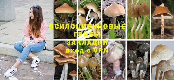 дмт Алексеевка