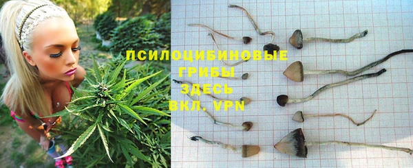 стаф Абдулино