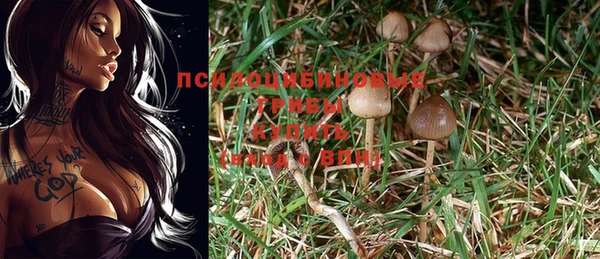 стаф Абдулино