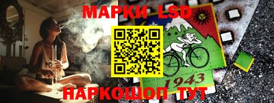 стаф Сланцы
