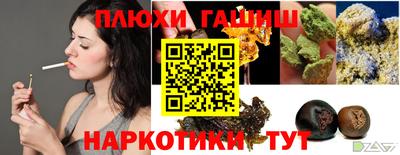 стаф Сланцы
