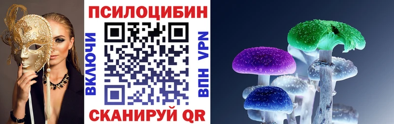 сколько стоит  Киржач  Псилоцибиновые грибы мицелий 