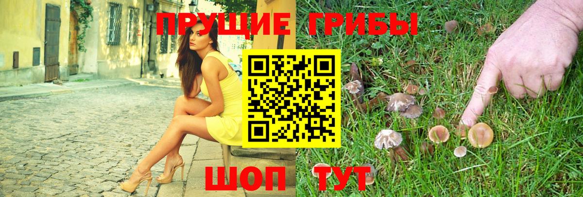Киржач  Галлюциногенные грибы ЛСД  Вход с VPN 