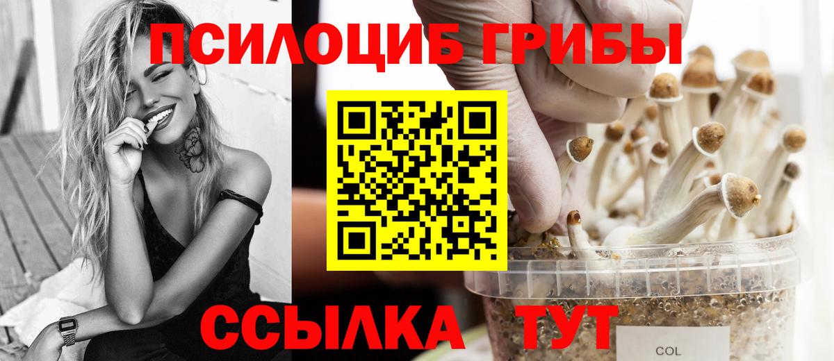 Галлюциногенные грибы мухоморы Киржач